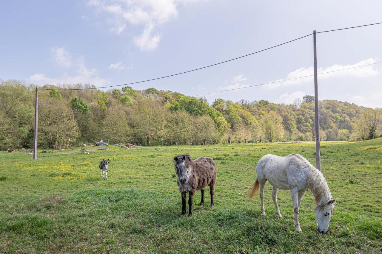 Gite Le Moulin Pocheluberry Bidache ภายนอก รูปภาพ